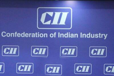 India's Mineral Sector Could be Potential Driver of High Growth, CII Tells NITI Aayog