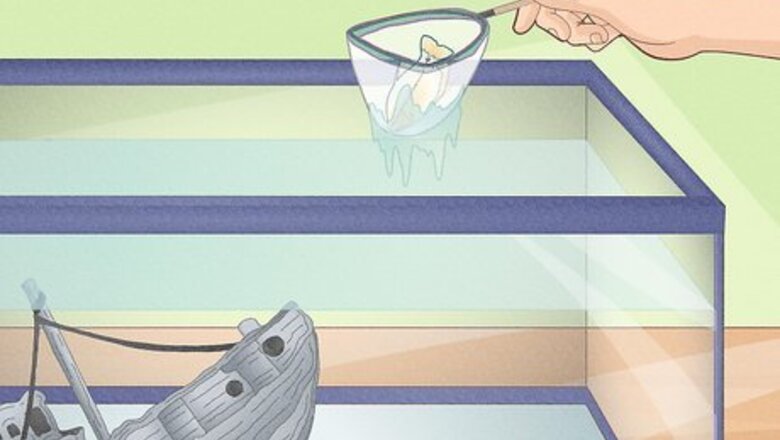How to Install a Fluval Filter