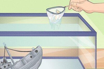 How to Install a Fluval Filter