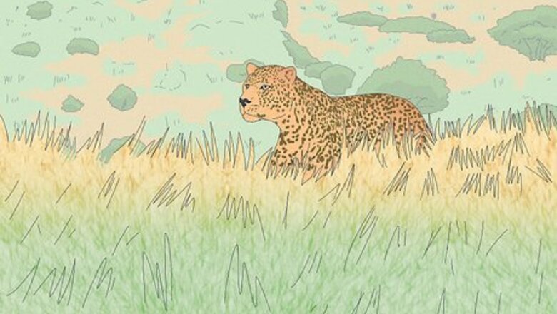 How to Survive a Leopard Attack