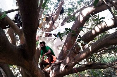 Migrant Worker Quarantines Self on Tree for 14 Days after Walking 200 Km to Reach Rajasthan Home