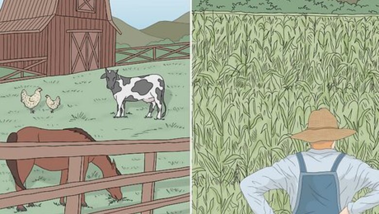 What’s the Difference Between Farms & Ranches?