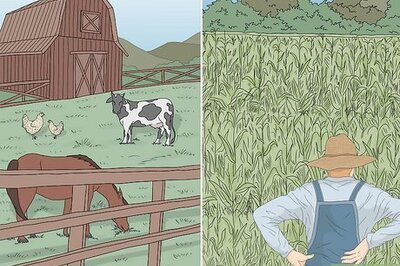 What’s the Difference Between Farms & Ranches?