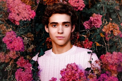 High School Musical Star Joshua Bassett Denies Sexual Assault Claims