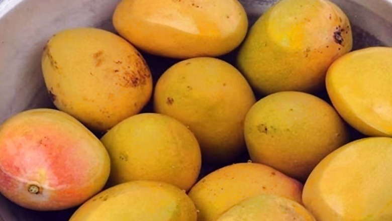 Why Mangoes Should Be Soaked In Water Before Eating