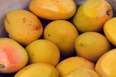 Why Mangoes Should Be Soaked In Water Before Eating
