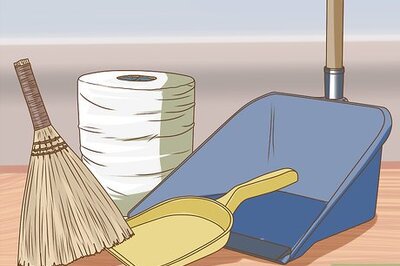 How to Clean a Chinchilla Cage