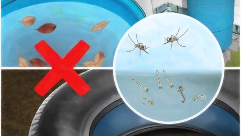How to Prevent Mosquitoes from Breeding