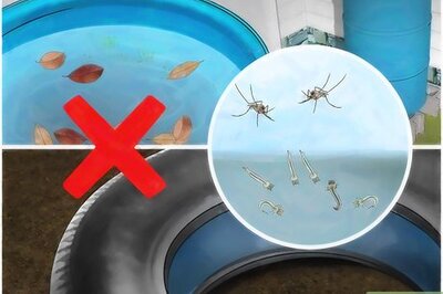 How to Prevent Mosquitoes from Breeding