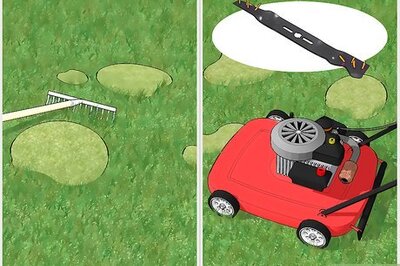 How to Get Rid of Moss in Your Lawn