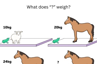 Brain Teaser: How Much Do a Horse, Sheep, and Frog Weigh Together?