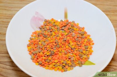 How to Sprout Lentils