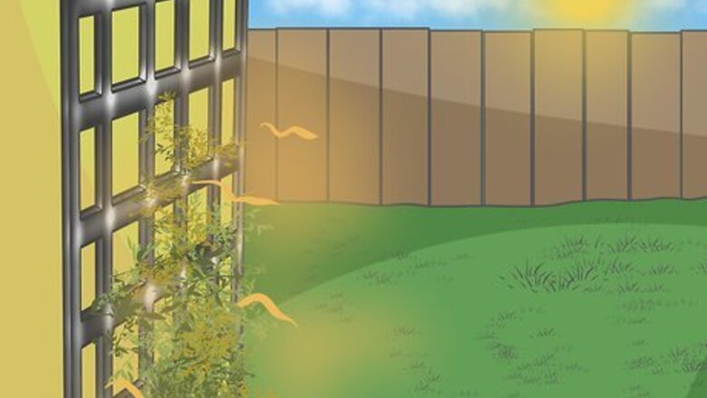 How to Build a Pyramid Trellis