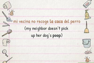 How to Say "Poop" in Spanish