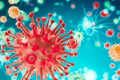 2,100 Cases of Covid Sub-variant JN.1, Its Lineages Detected in India: INSACOG