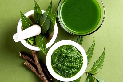 Why Young Indians Need to Re-discover Neem