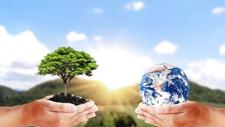 World Environment Day 2021: What is Ecosystem Restoration, its Types and Importance in Post-Covid World