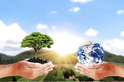 World Environment Day 2021: What is Ecosystem Restoration, its Types and Importance in Post-Covid World