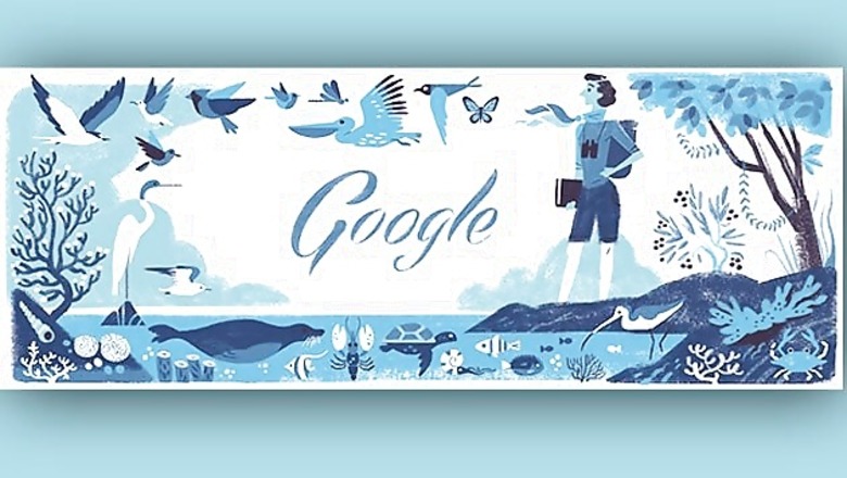Rachel Louise Carson's 107th birthday: 10 interesting facts about the environmentalist