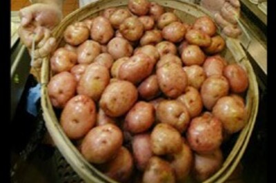 Save taxes: Make potato crisps that are not potato