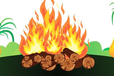 Happy Bhogi 2022: Mark the First Day of Pongal with These Facts About the Harvest Festival