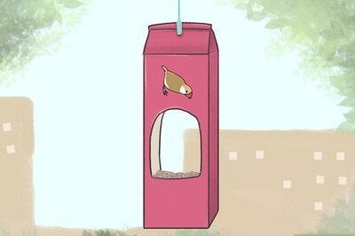 How to Improve Biodiversity in Schools