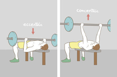 How to Build a Big Chest