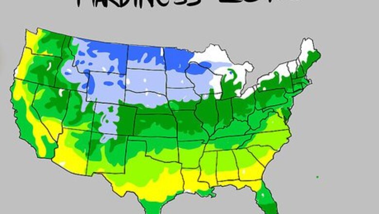 How to Understand Plant Hardiness Zones