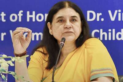 Why Was Sharp-shooter With Terror Links Deployed to Kill Tigress Avni? Asks Maneka Gandhi