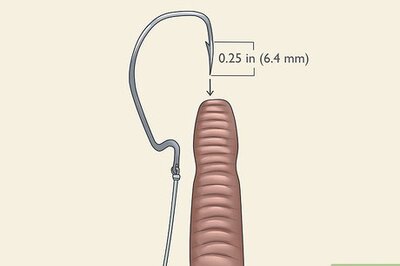 How to Hook Plastic Worms