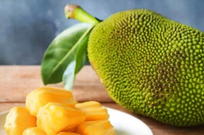 This Uttara Kannada Jackfruit Recipe Is Considered Alternative To Chocolate For Kids