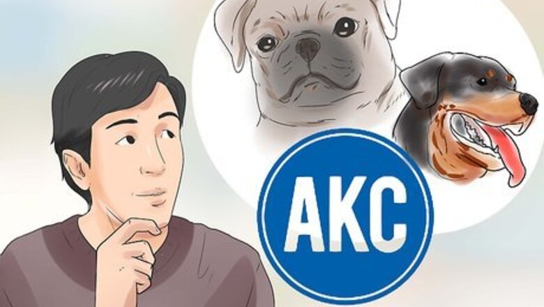 How to Learn Breeds of Dogs