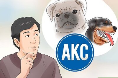 How to Learn Breeds of Dogs