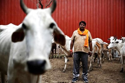 Ghaziabad Police to Slap Gangsters, Goonda Acts Against Cow Slaughter Repeat Offenders