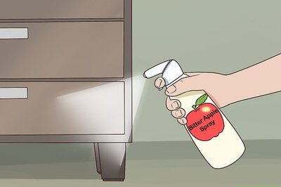 How to Rabbit‐Proof Your Home