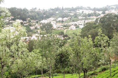 Nilgiris Lok Sabha Elections 2024: Will DMK’s Raja be King Again, Or Will BJP’s Murugan Steal the Show?