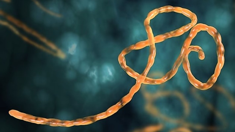 It's ethical to try untested Ebola medicines: UN
