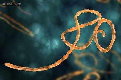 It's ethical to try untested Ebola medicines: UN