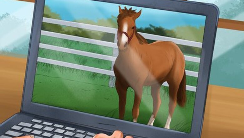 How to Be an Equestrian