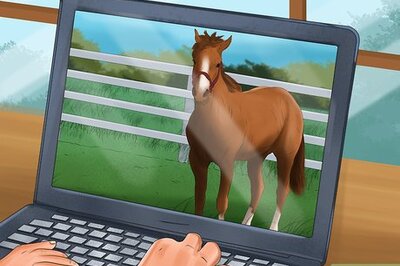 How to Be an Equestrian