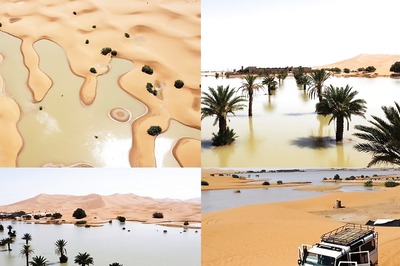 Rare Deluge Of Rain Leaves Parts Of Sahara Desert Flooded For The First Time In 50 Years | Watch