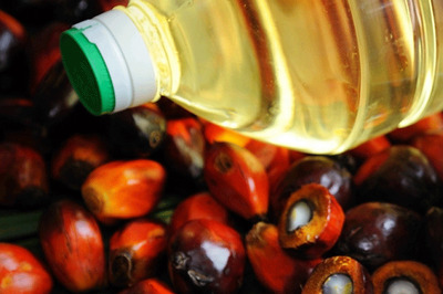 India's Palm Oil Production May Double in 5 Years on Rising Yields: Report