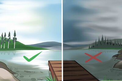 How to Find the Best Time for Fishing