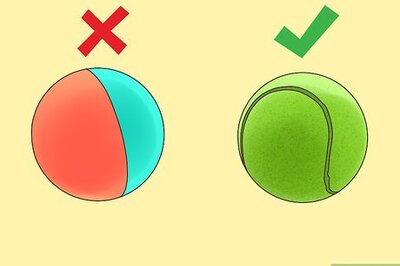 How to Play Fetch with a Ferret