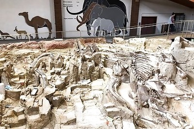 How Low Did It Go? Scientists Calculate Earth's Ice Age Temperatures