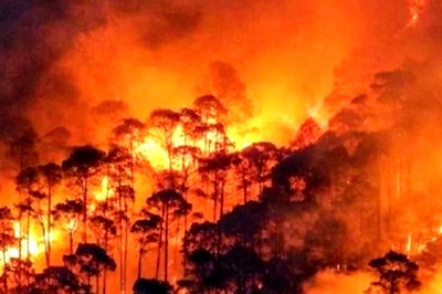 Uttarakhand Wildfire Claims One More Life, 5th Death In 3 Days; Rain Likely This Week