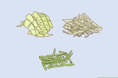 How to Make Infusoria