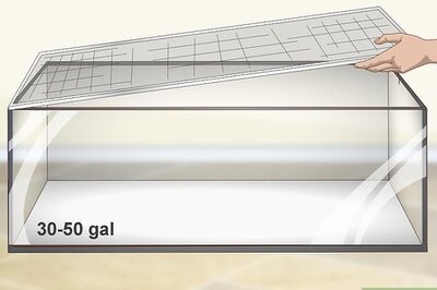 How to Take Care of a Garter Snake