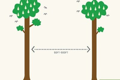 How to Construct a Zip Line