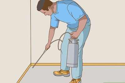 How to Get Rid of Sandfleas